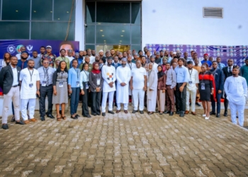 Nigeria Must Build, Not Just Buy, Clean Energy Technologies – NASENI Boss