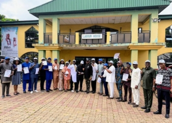 2027: Group Backs Tinubu, Oborevwori, Okowa Over Good Governance