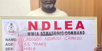 NDLEA Intercepts N10bn Worth Of Cocaine, Illicit Drugs At Lagos Ports