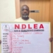 NDLEA Intercepts N10bn Worth Of Cocaine, Illicit Drugs At Lagos Ports 4 NDLEA Intercepts N10bn Worth Of Cocaine, Illicit Drugs At Lagos Ports