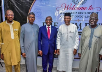 NNDC Unveils 5-Year Transformation Plan, Grows Assets To N31.4bn