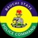 Police Arrest Fake NDLEA Operative For Impersonation, Extortion In Bauchi