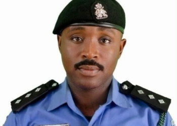 Benue Police Command Gets New Spokesperson