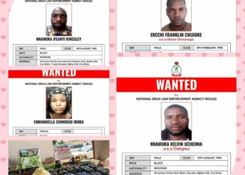 Wanted: NDLEA Hunts Meth Kingpin, Freezes N9.8bn In Drug Proceeds