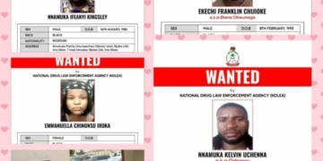 Wanted: NDLEA Hunts Meth Kingpin, Freezes N9.8bn In Drug Cash 2 Wanted: NDLEA Hunts Meth Kingpin, Freezes N9.8bn In Drug Cash