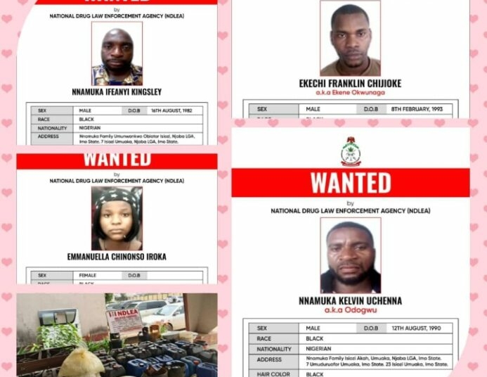 Wanted: NDLEA Hunts Meth Kingpin, Freezes N9.8bn In Drug Cash 1 IMG 20260717 144842