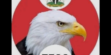 Visa Extortion Probe: EFCC Says NIS Comptroller-General Nandap Not Under Investigation 2 Visa Extortion Probe: EFCC Says NIS Comptroller-General Nandap Not Under Investigation