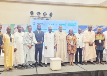Africa Must Tie Agric Research Funding To Market Returns — Kyari, NADF