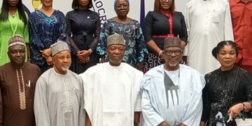 NILDS DG Urges Guard Against Downsize Vulnerabilities Of Revenue
