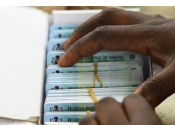 Permanent Voters Cards (PVC) (Photo by Pius Utomi Ekpei/ AFP)