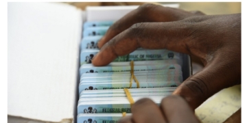 2027 Elections: Allow Registered Voters Without PVCs Vote, Atedo Peterside Urges INEC 2 Permanent Voters Cards (PVC) (Photo by Pius Utomi Ekpei/ AFP)