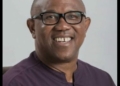 Presidential Candidate Of Nigeria Democratic Congress (NDC), Peter Obi