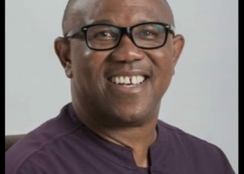 Presidential Candidate Of Nigeria Democratic Congress (NDC), Peter Obi