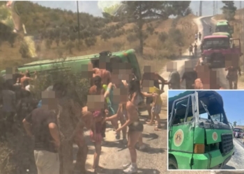 Baby Among Injured As Safari Bus Carrying British Tourists Crashes In Turkey