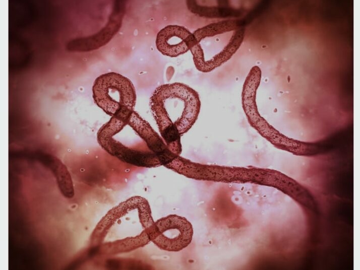 Uganda’s Health Minister Declares Country Free Of Ebola 1 IMG 2888