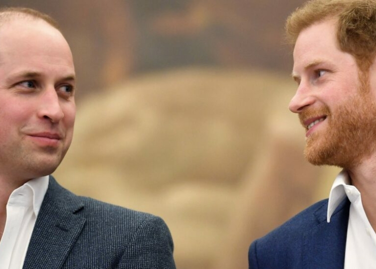 Prince William And Prince Harry Still Not Speaking Despite Harry’s Reunion With King Charles 1 IMG 3609