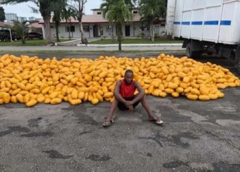 Army Intercepts Truck Loaded With Suspected Illicit Drugs, Arrests Driver In Lagos