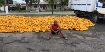 Army Intercepts Truck Loaded With Suspected Illicit Drugs, Arrests Driver In Lagos 3 Army Intercepts Truck Loaded With Suspected Illicit Drugs, Arrests Driver In Lagos