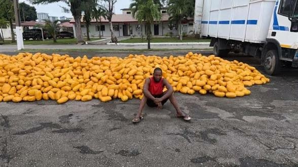 Army Intercepts Truck Loaded With Suspected Illicit Drugs, Arrests Driver In Lagos 1 IMG 3781