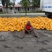 Army Intercepts Truck Loaded With Suspected Illicit Drugs, Arrests Driver In Lagos