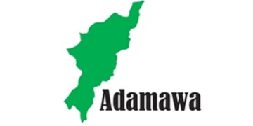 Police Arrest 2 Over Alleged Dummy Phone Scam In Adamawa