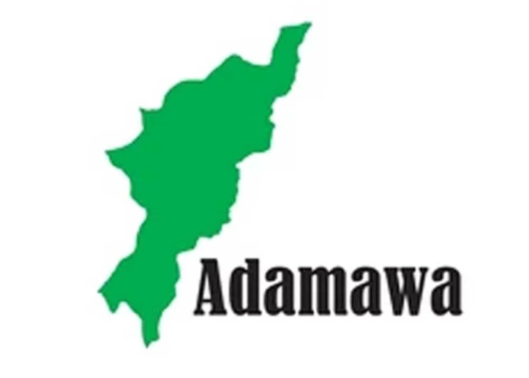 Police Arrest 2 Over Alleged Dummy Phone Scam In Adamawa 1 IMG 3833