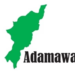 Police Arrest 2 Over Alleged Dummy Phone Scam In Adamawa