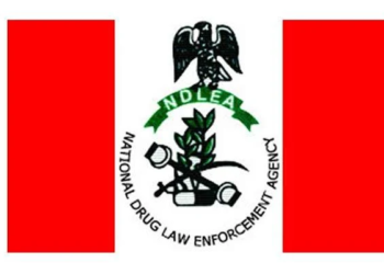 NDLEA Raises Alarm Over Rising Involvement Of Women In Drug Trafficking In Edo