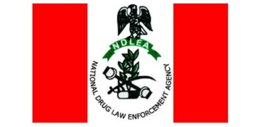 NDLEA Raises Alarm Over Rising Involvement Of Women In Drug Trafficking In Edo