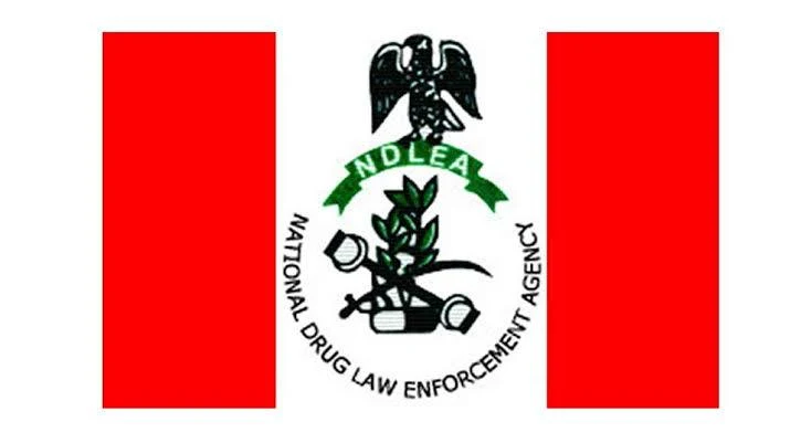 NDLEA Raises Alarm Over Rising Involvement Of Women In Drug Trafficking In Edo 1 IMG 4540