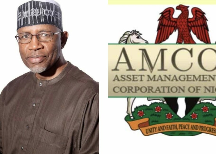Tinubu Sends Yuguda’s AMCON Chair Nomination To Senate For Approval 1 created by photogrid