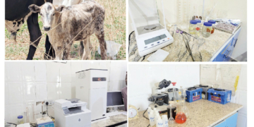 From Neglect To Innovation: Inside The Transformation Of Jigawa Research Institute 2 From Neglect To Innovation: Inside The Transformation Of Jigawa Research Institute