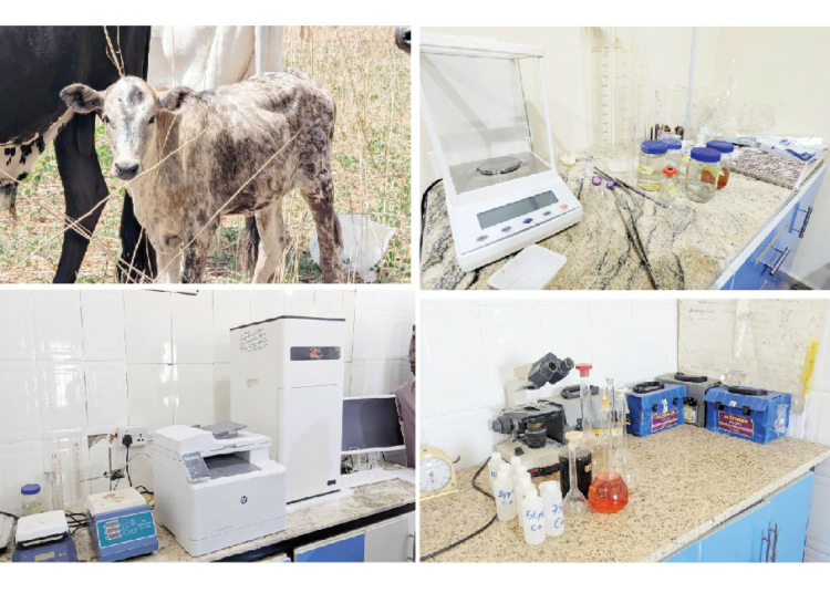 From Neglect To Innovation: Inside The Transformation Of Jigawa Research Institute 1 Inside The Transformation Of Jigawa Research Institute