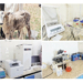 From Neglect To Innovation: Inside The Transformation Of Jigawa Research Institute