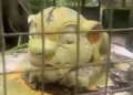 Visitor Left Stunned After Finding Lion Statue Instead Of Live Animal