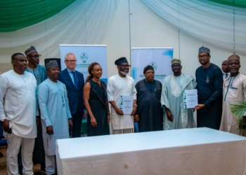 Rural Electrification Must Drive Jobs, Enterprise, Not Just Grid Expansion — Power Minister
