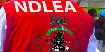 Court To Rule On NDLEA Bid To Destroy Nigerian-Mexican Drug Factory 2 Court To Rule On NDLEA Bid To Destroy Nigerian-Mexican Drug Factory