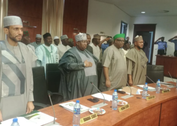 Have Northern Governors Scored A N228 billion Own Goal?