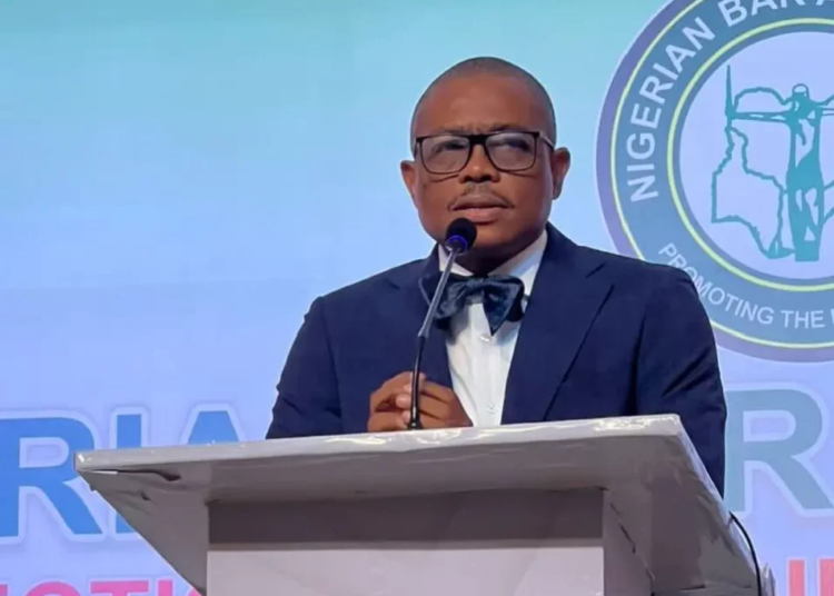 DSS, Foreign Observers To Monitor NBA Election, Says Osigwe 1 Osigwe