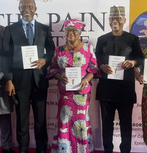 How Ngozi Okonjo-Iweala Discouraged Me From Japa — Osita Chidoka 1 Osita Chidoka and Ngozi Okojon iweala
