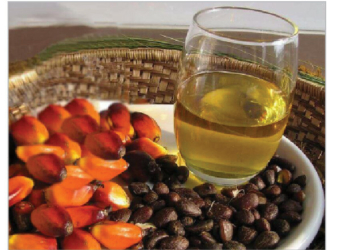 Small Capital, Big Returns: The Business Potential Of Palm Kernel Oil