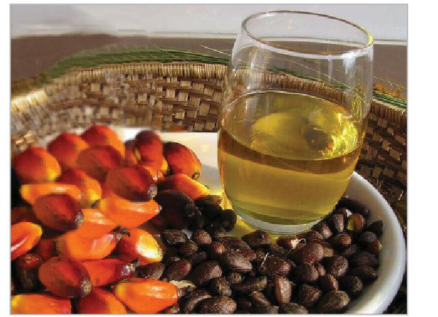 Small Capital, Big Returns: The Business Potential Of Palm Kernel Oil 1 PALM KERNEL