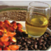 Small Capital, Big Returns: The Business Potential Of Palm Kernel Oil 5 Small Capital, Big Returns: The Business Potential Of Palm Kernel Oil