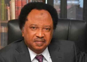 History Will Judge You By Your Courage, Not Your Laws– Shehu Sani Tells Lawmakers