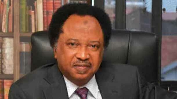 History Will Judge You By Your Courage, Not Your Laws-- Shehu Sani Tells Lawmakers 1 SHEHU SANI