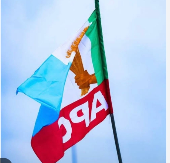 Can Ondo APC Heal After Contentious Primaries? 1 Screenshot 20260305 231643 1