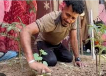 War-Ravaged Gaza Farmers Turn Tent-Side Soil Into Fields Of Survival