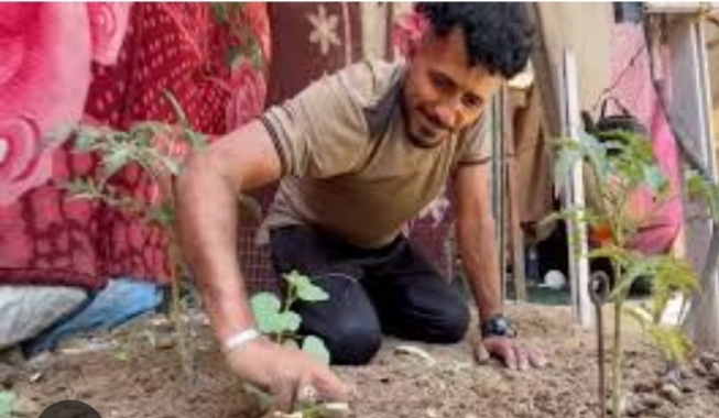 War-Ravaged Gaza Farmers Turn Tent-Side Soil Into Fields Of Survival 1 Screenshot 20260707 230119 1