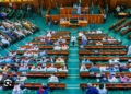 Reps Seek End To Terrorists’ Rehabilitation, Tougher Crackdown On Ransom Financing