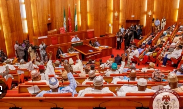 Senate Passes Bill To Establish Agency For Management Of Recovered Assets 1 Screenshot 20260709 164034 1
